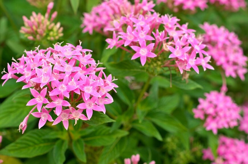 Aoka/istockphoto.com