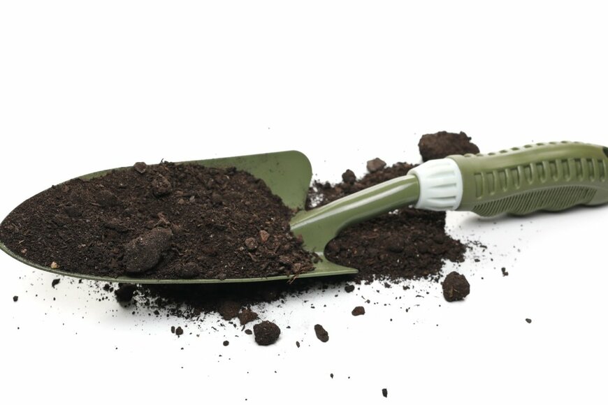 xpixel/shutterstock.com