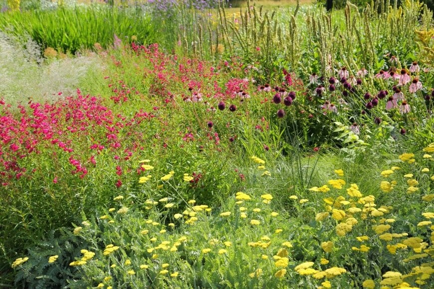 Krzysztof Slusarczyk/shutterstock.com