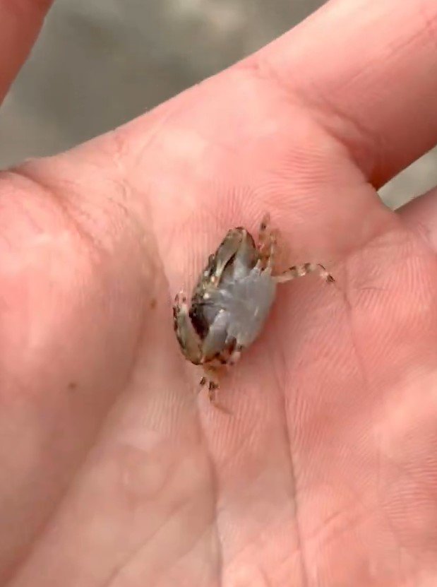 出所：@K_theHermit