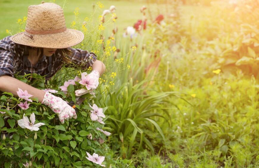 africa_pink/shutterstock.com