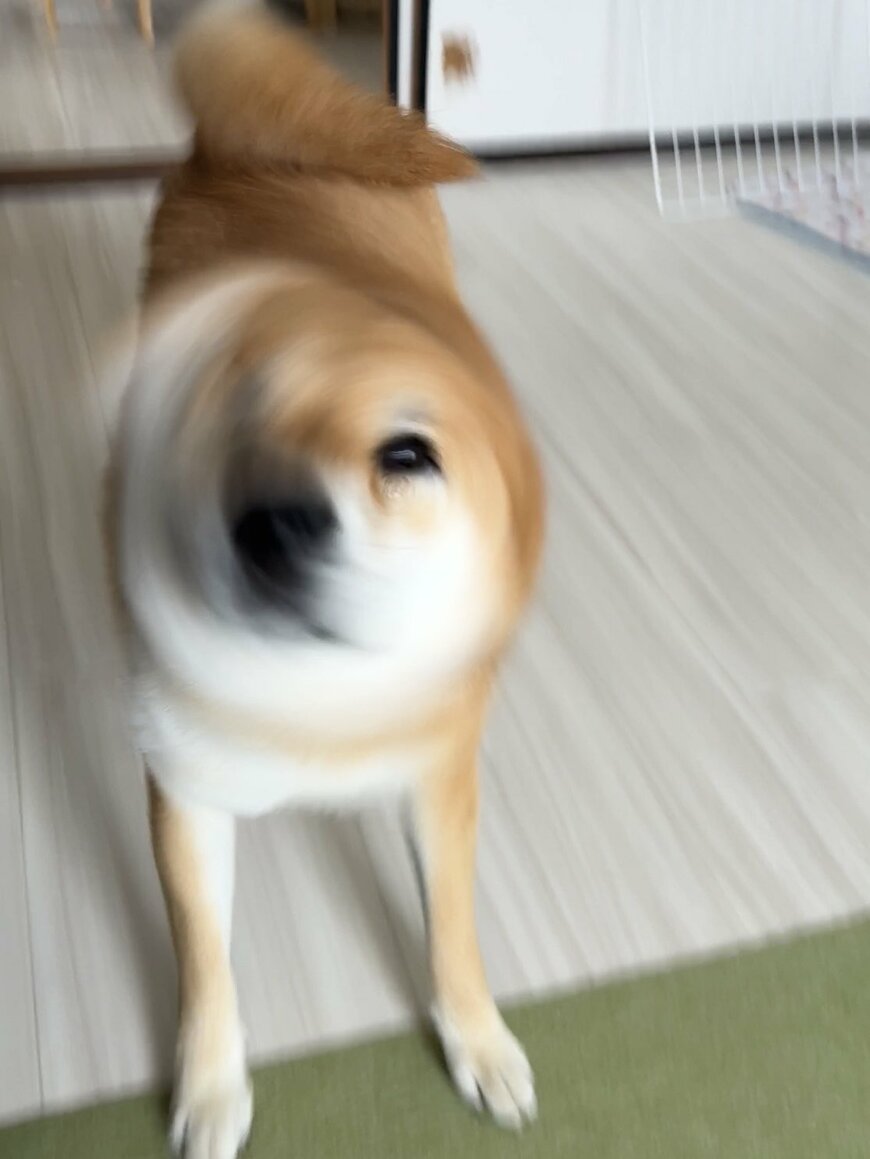 出所：@fufufufufu_ta