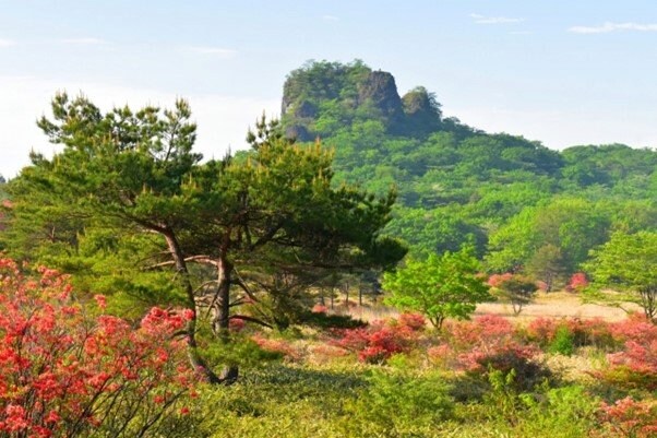 出典：時々/写真AC