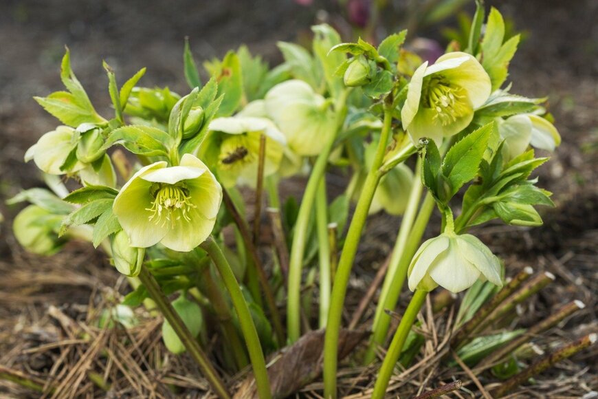 Sicha69/istockphoto.com