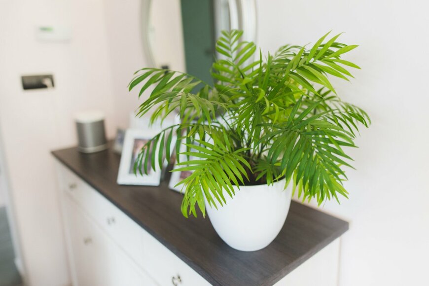 Jus_Ol/shutterstock.com