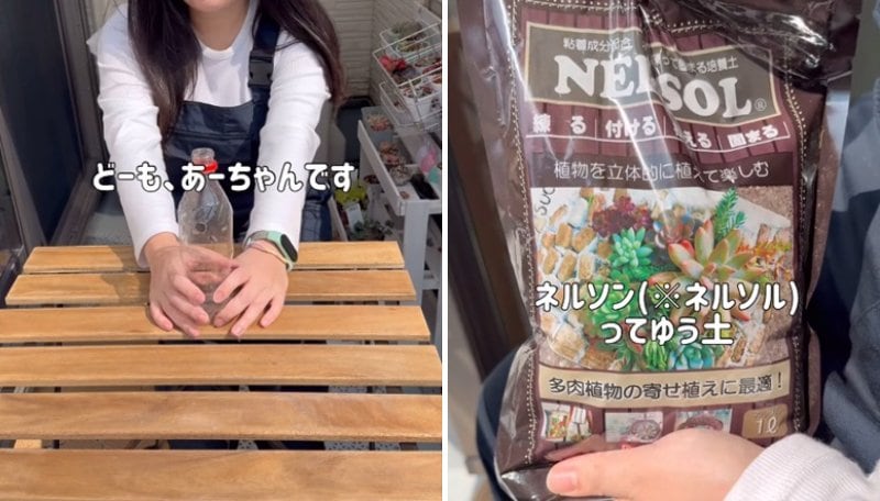 投稿の画像