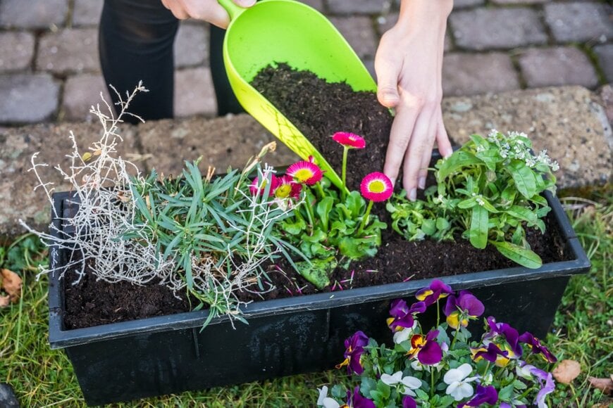 プランターにスコップで花の苗を植えている様子