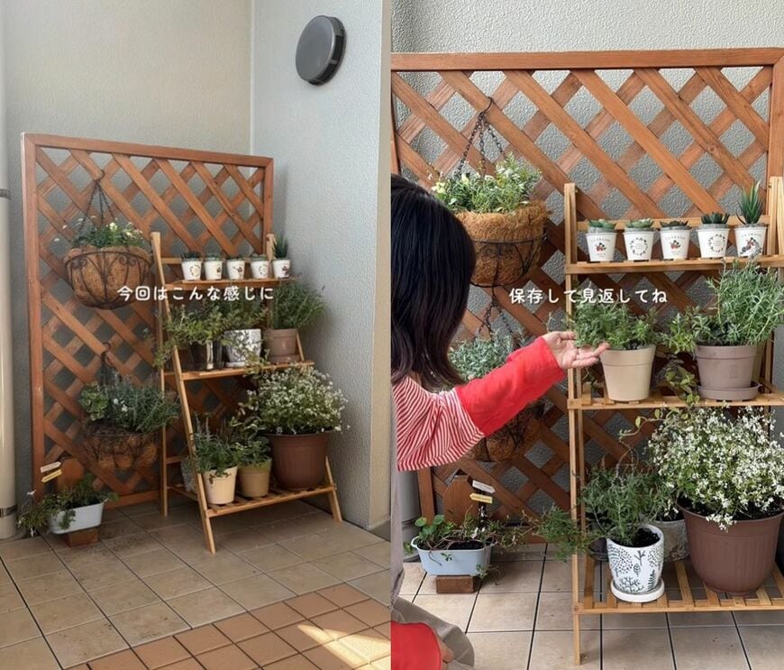 投稿の画像