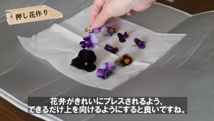 @チェリーガーデン