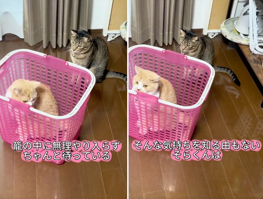 投稿の画像