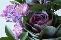 【新年のガーデニング】おすすめ植物4選！新しい年に育てたい花木を紹介