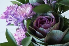 【新年のガーデニング】おすすめ植物4選！新しい年に育てたい花木を紹介
