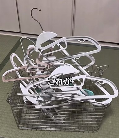 投稿の画像