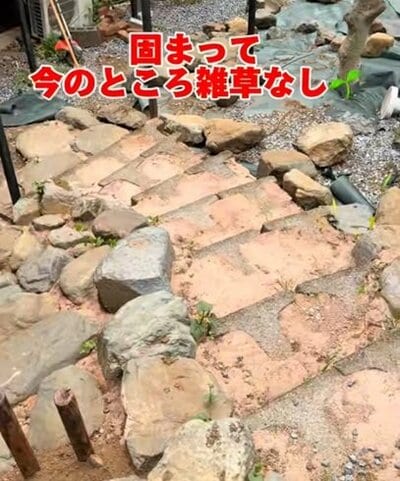 投稿の画像