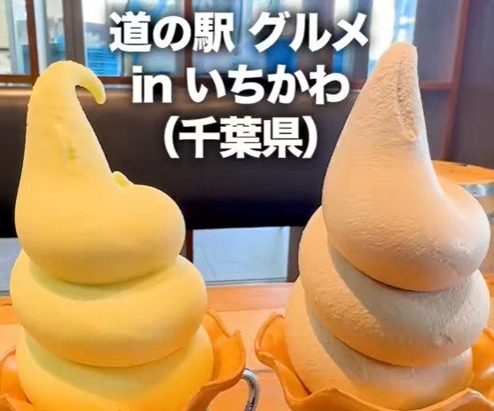 千葉県の道の駅で見つけた「梨とコーヒーのソフトクリーム」！地元ならではの味に「絶対に食べて」「香りがたまらない」 