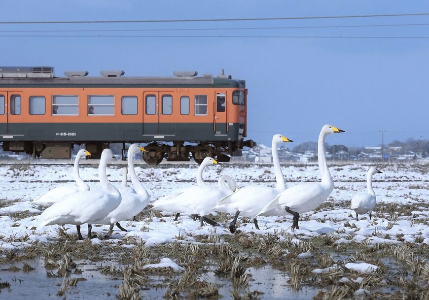 出所：@azu351_photo
