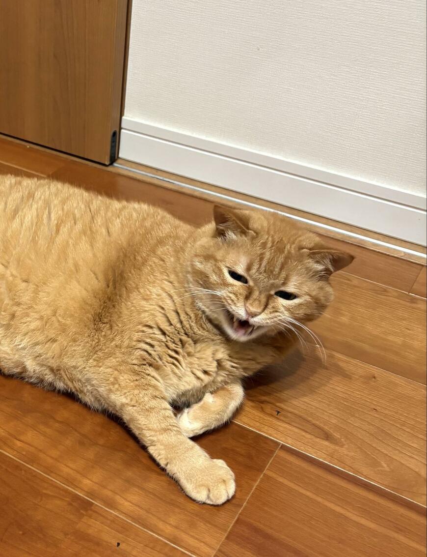 出所：@kagisuzu0531