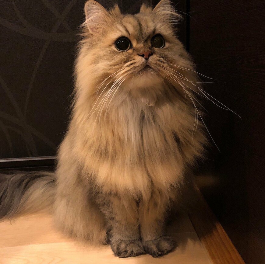 出所：@UphQepCv8J