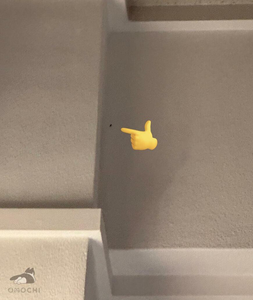 出所：@omochiomoching