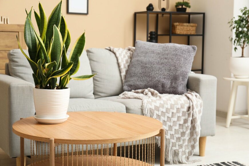 Pixel-Shot/shutterstock.com