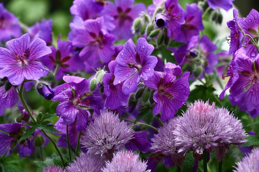 imamchits/Shutterstock.com