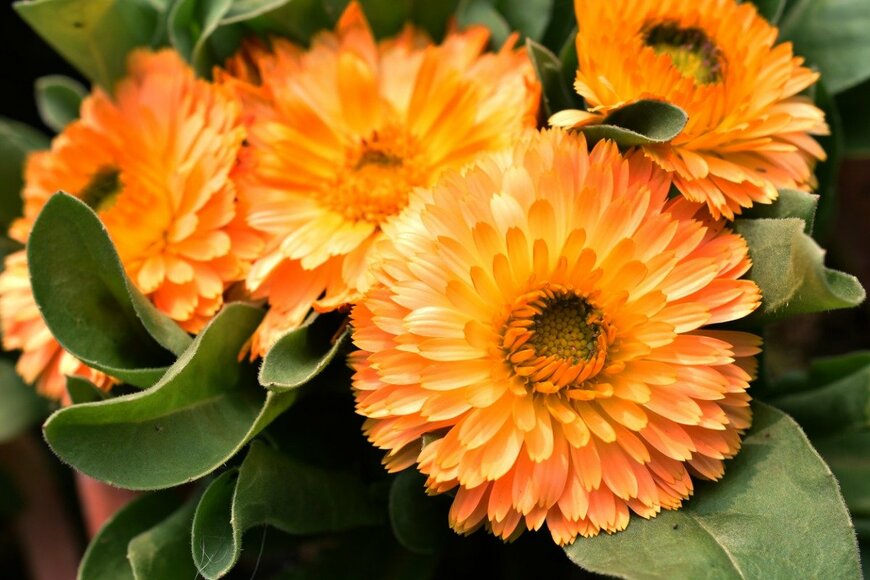 Prasenjit Kar/istockphoto.com