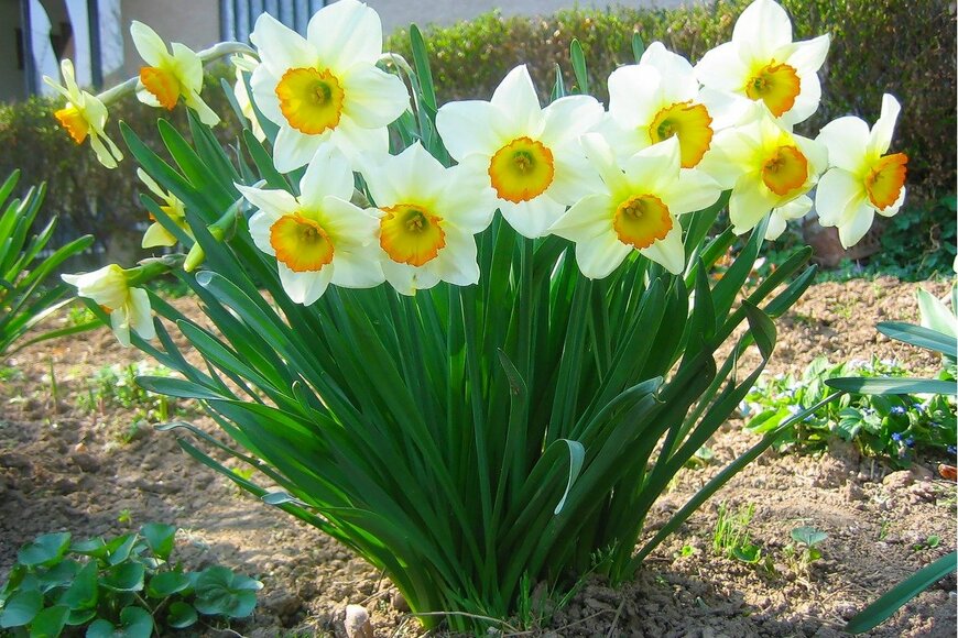 I am artist and scientist. This is my view of the world/istockphoto.com