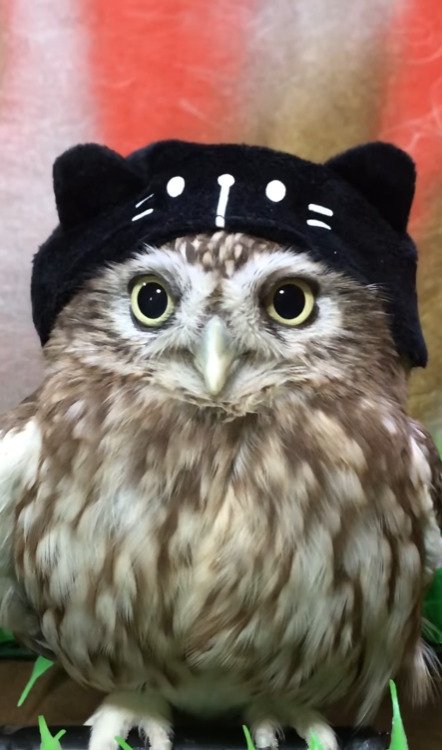 出所：@cr8673.hiro