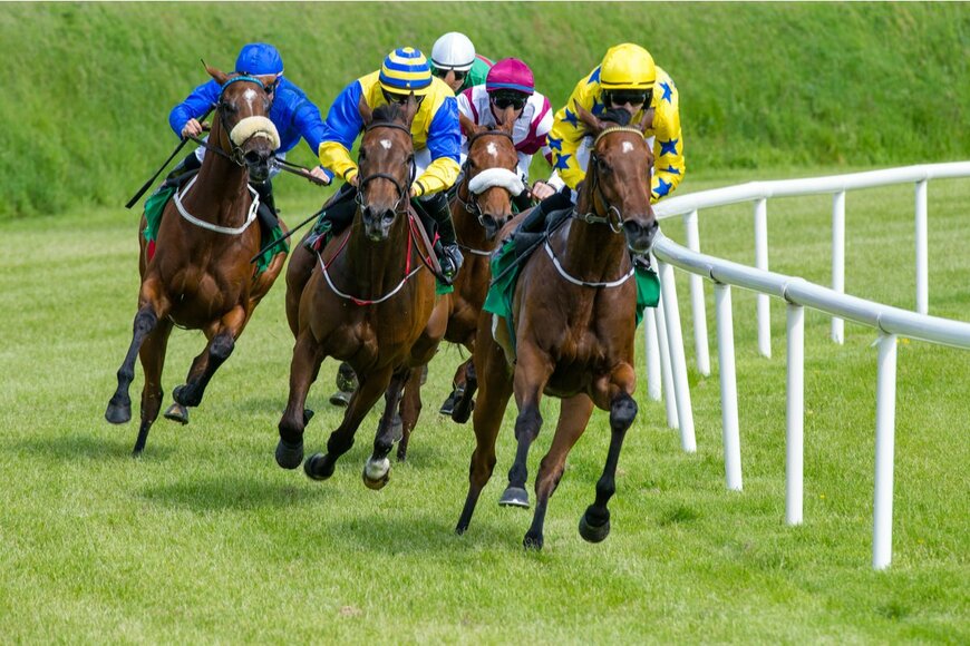 【9月16日は競馬の日】今夏のJRA重賞レースの優勝馬を一覧表で振り返る。開催中の中山競馬場・中京競馬場も紹介