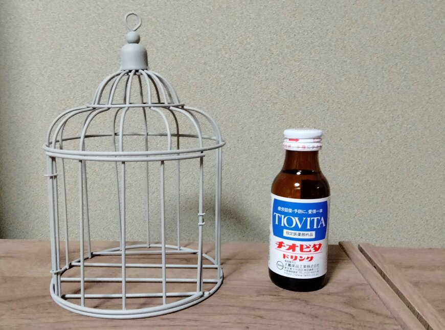 筆者撮影（ダイソー、アイアンインテリア（ケージ、直径13.5cm×19cm））