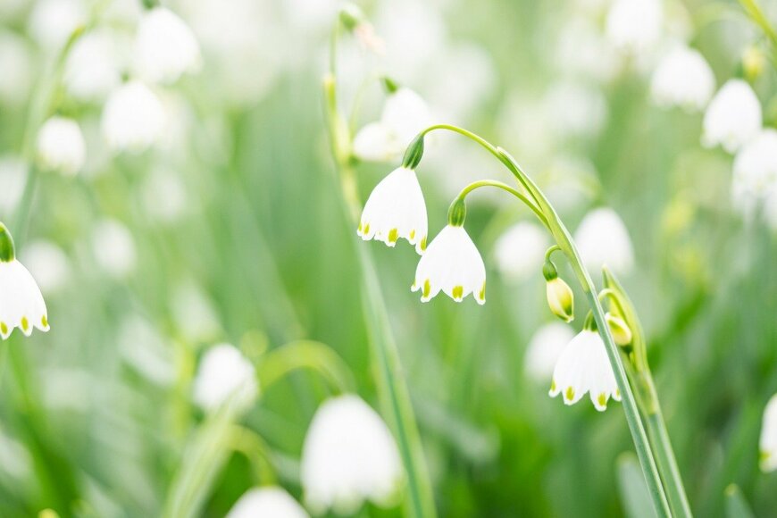 kaorinne/istockphoto.com