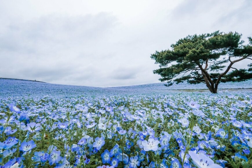 kazu8/shutterstock.com