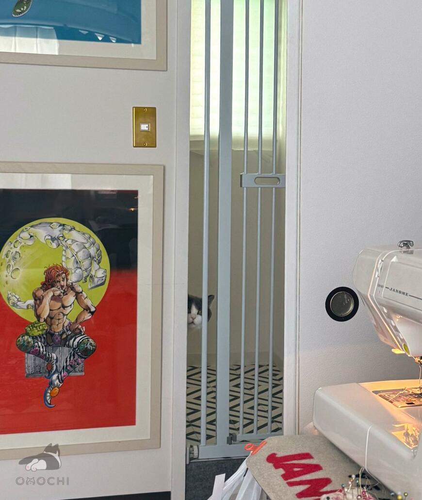 仕事部屋の入口からこちらを見ていた猫ちゃん…まさかの表情に笑ってしまう！