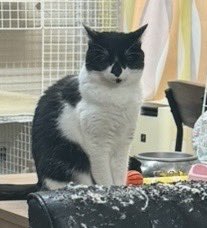 出所：@00shitemita