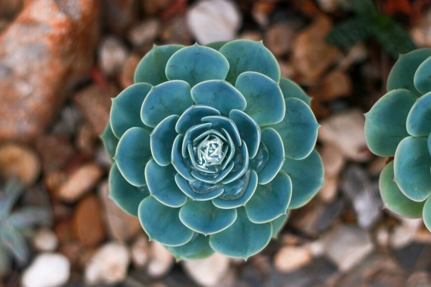 Aunalyst/shutterstock.com