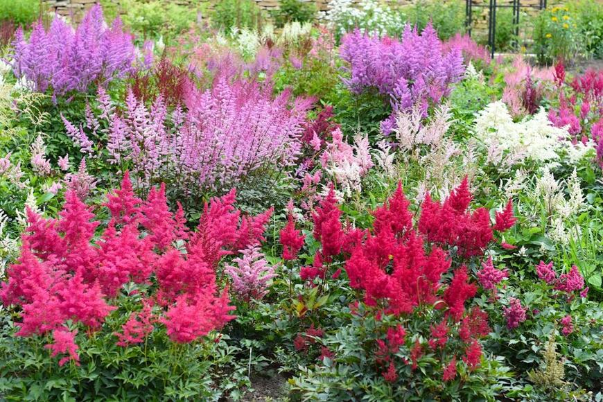 Tanya_Terekhina/shutterstock.com