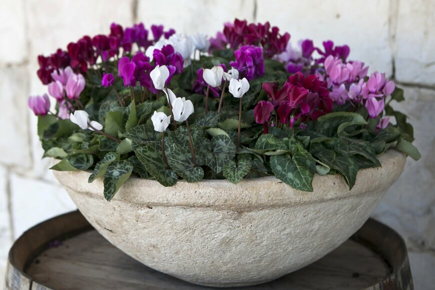 Elena Rostunova/istockphoto.com