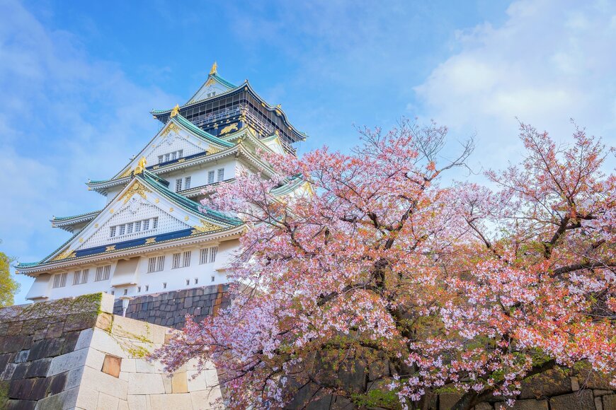【2024年お花見】大阪の桜の見頃と満開の時期は？おすすめテイクアウトや豪華弁当も紹介