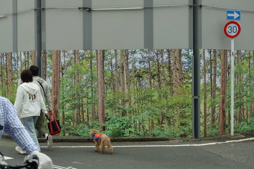 工事現場の壁に貼られた写真