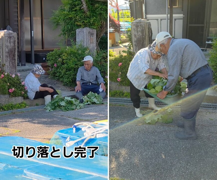 80代の夫婦