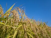 10月は生命保険料控除証明書が届きはじめる！各年代で選ばれる保険種類は変わる「60歳以上は終身保険ニーズ高い？」