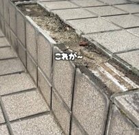 【築35年戸建DIY】お隣さんのために！ボロボロのタイルの補修に初挑戦→見違えるような光景に