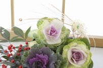 【センスのいいお正月の寄せ植え】寒さに強い《モダンで鮮やかな植物》7選＆つくりかたのコツ