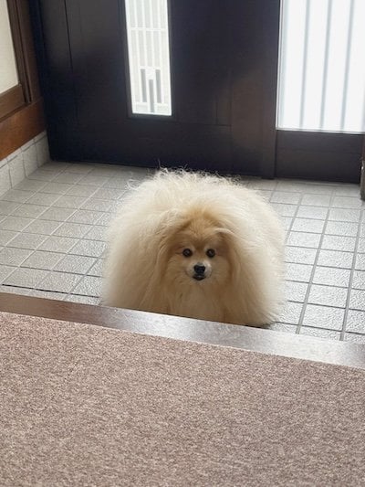 投稿の画像