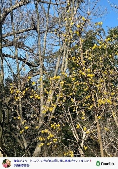 假屋崎省吾の公式ブログ投稿