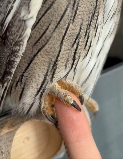 投稿動画のワンシーン