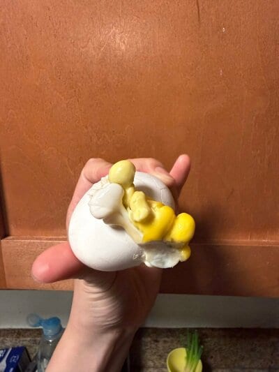 投稿の画像