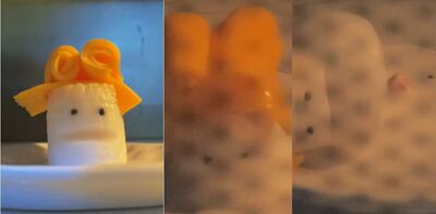 投稿動画のワンシーン