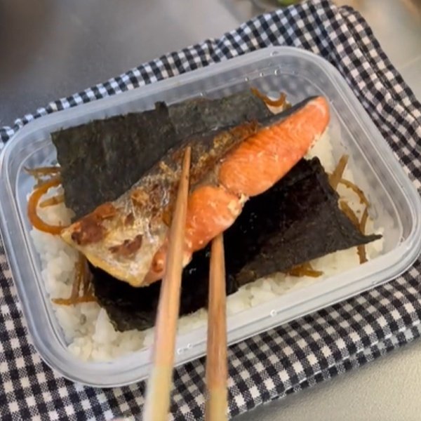 【夫弁当】彩り豊かな「鮭のり弁当」が美味しそう　卵焼きやきんぴらなど手作りおかずたっぷり