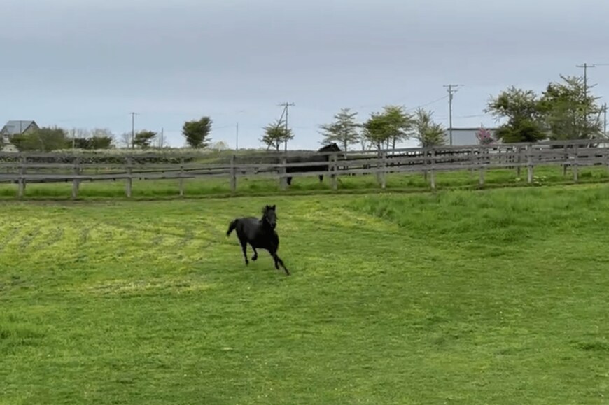 出所：Yogiboヴェルサイユリゾートファーム